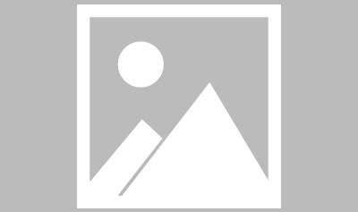 奇异果体育-【早报】救火红魔！阿莫林将任曼联新主帅