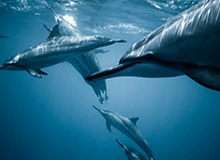 九游官网入口——开启你的游戏新世界